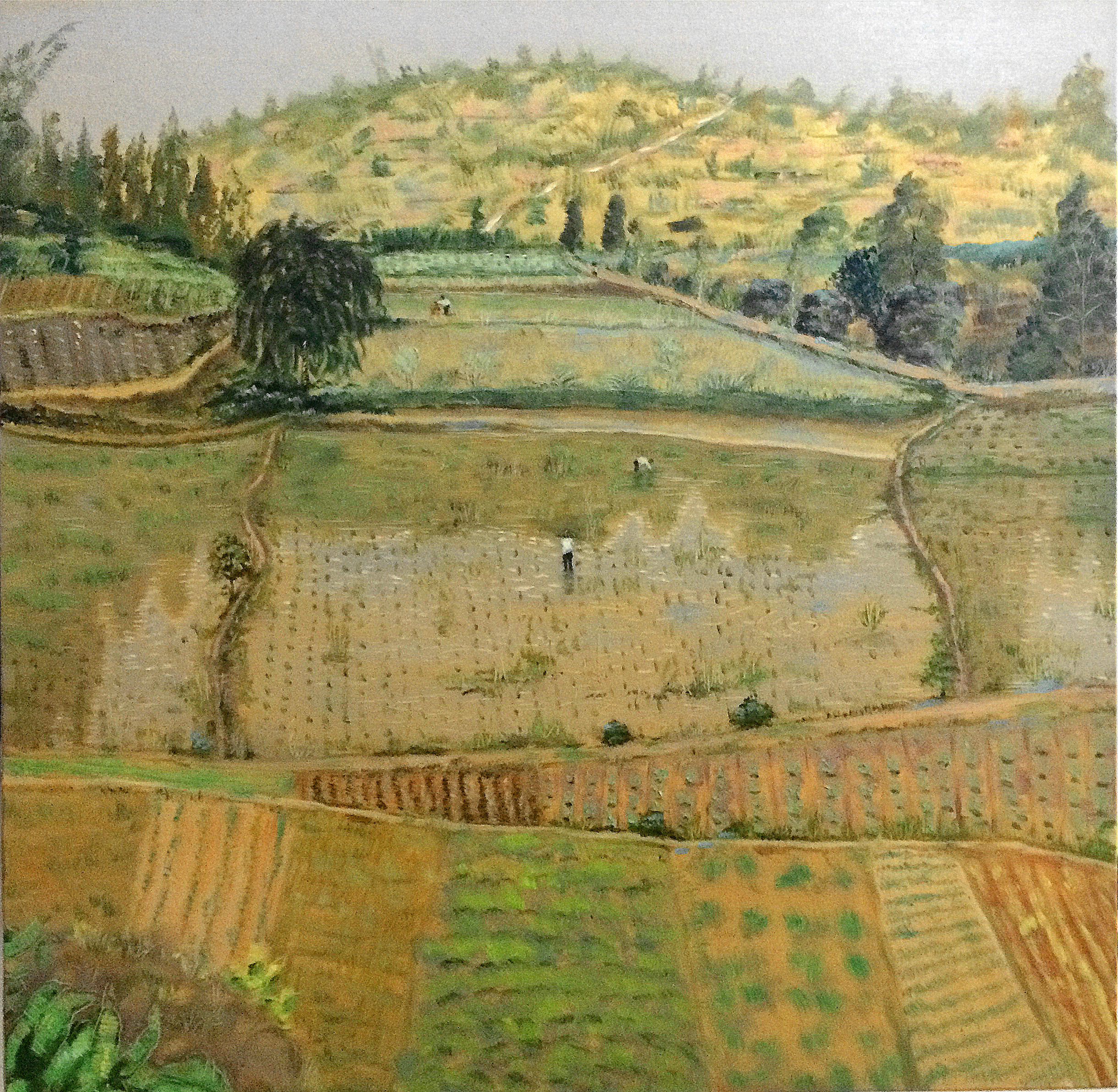 忙碌的稻田_布面油画_油画_宝甄网