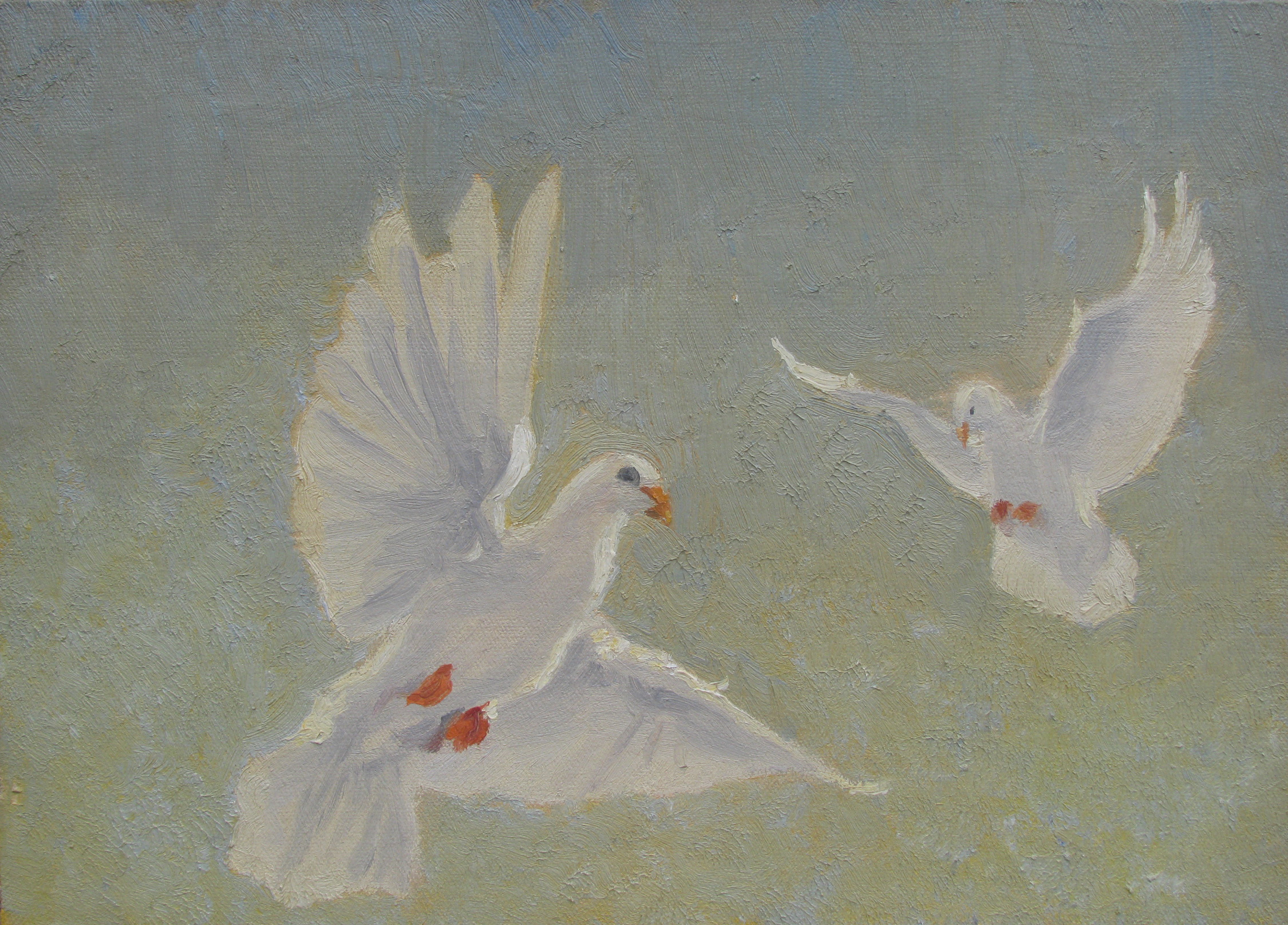 白鸽_布面油画_油画_宝甄网