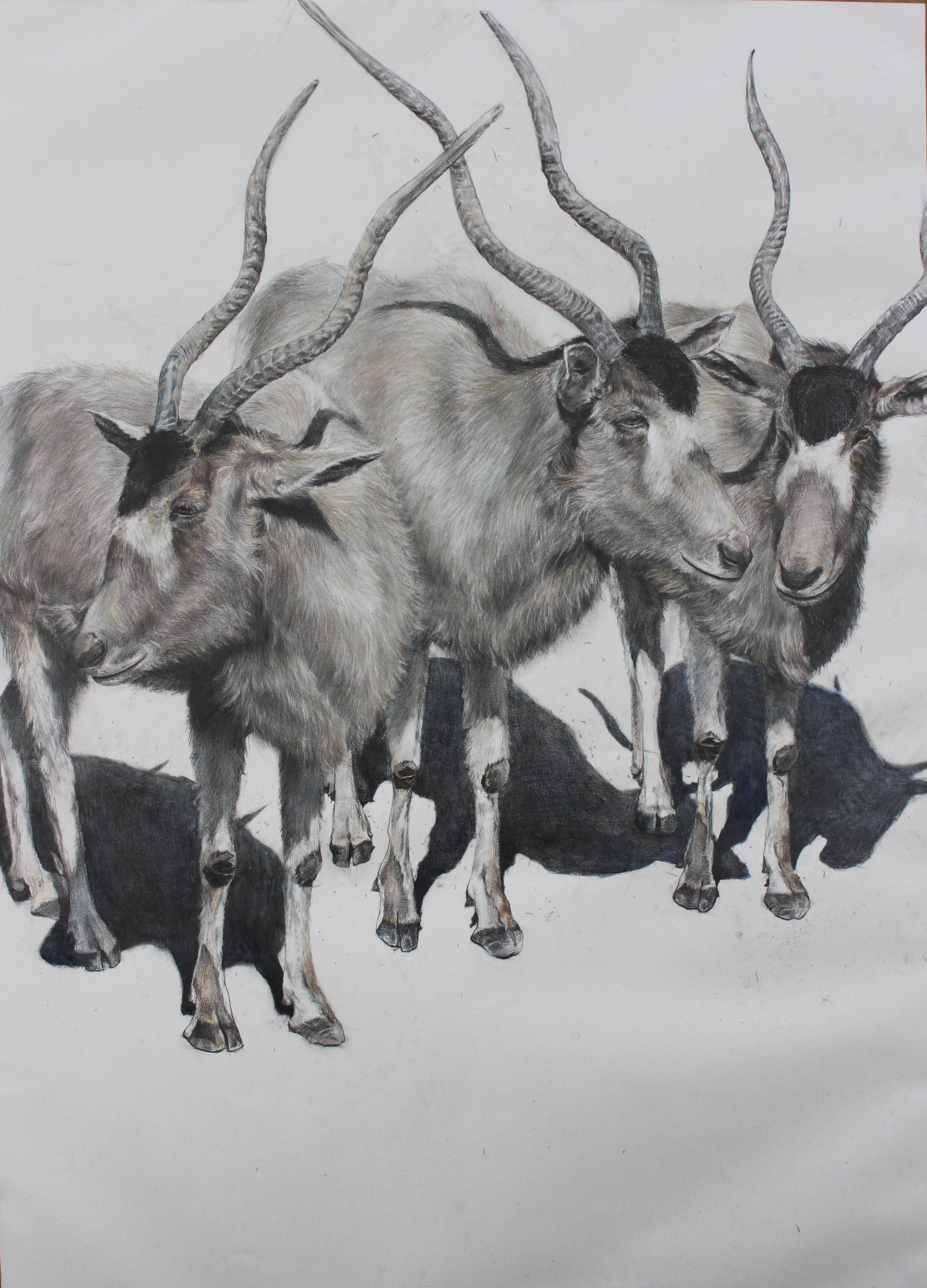 三羊开泰_纸本水墨_国画_宝甄网