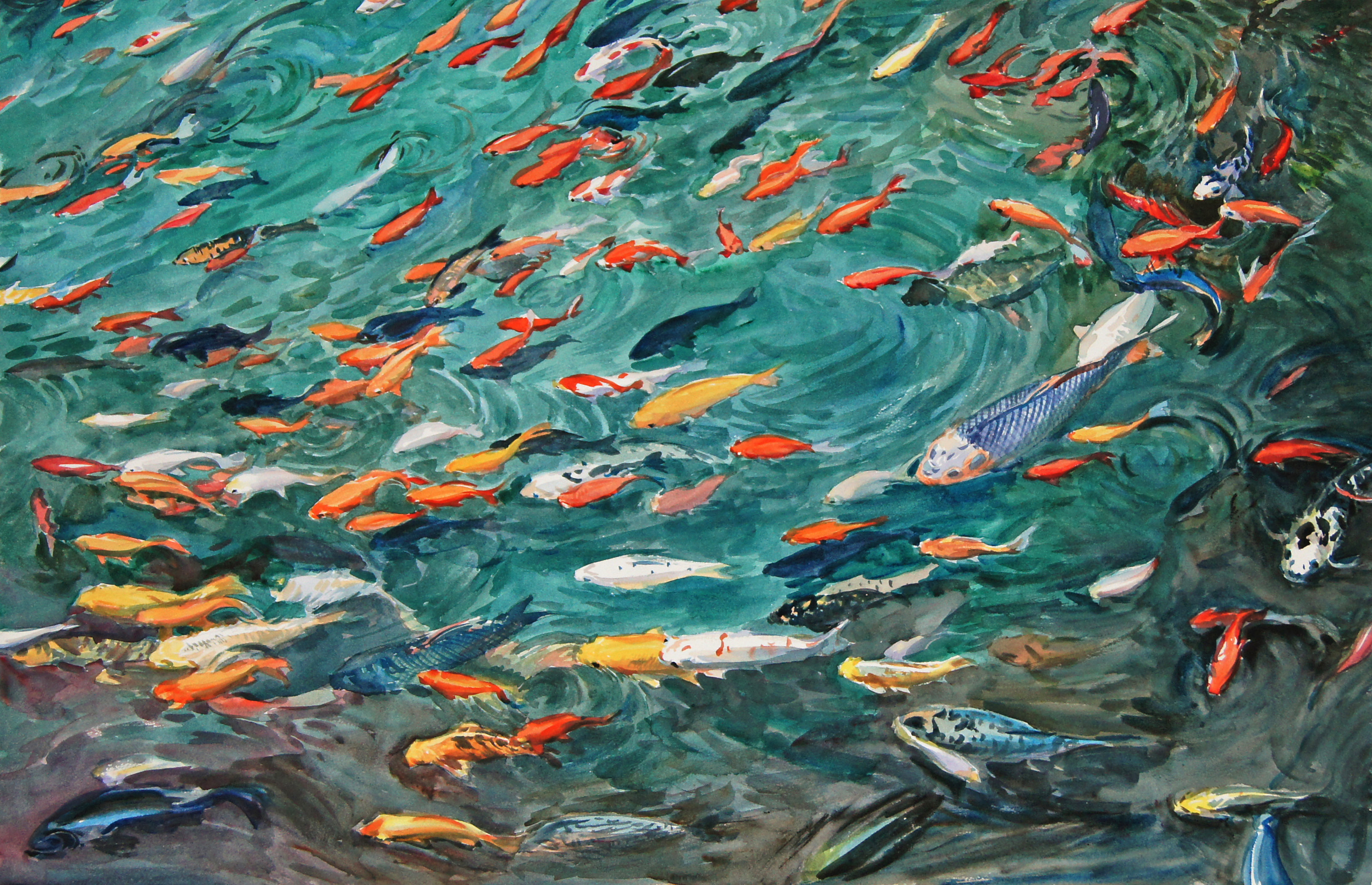 锦鲤图_纸本水彩_水彩_宝甄网