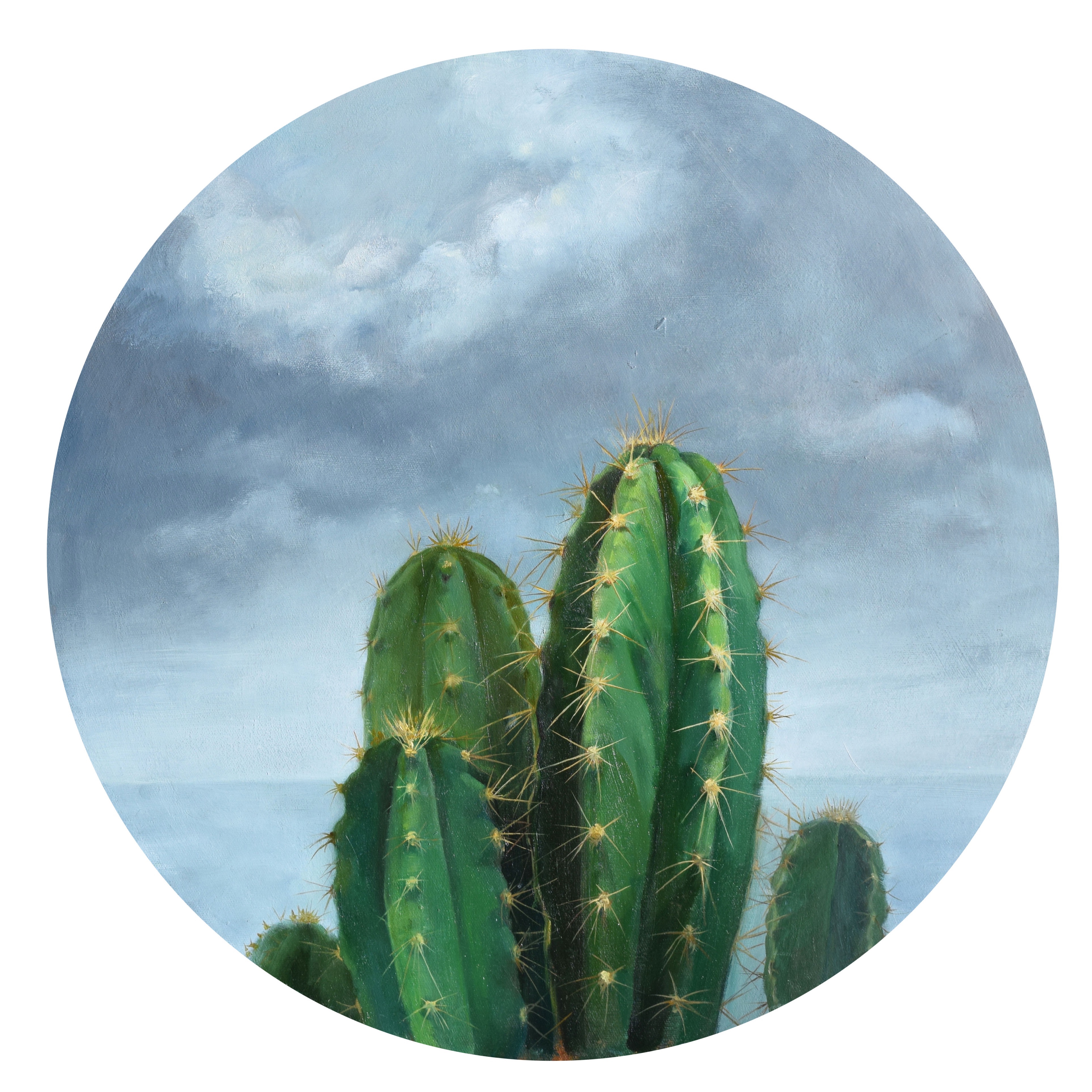 仙人掌肖像3_布面油画_油画_宝甄网