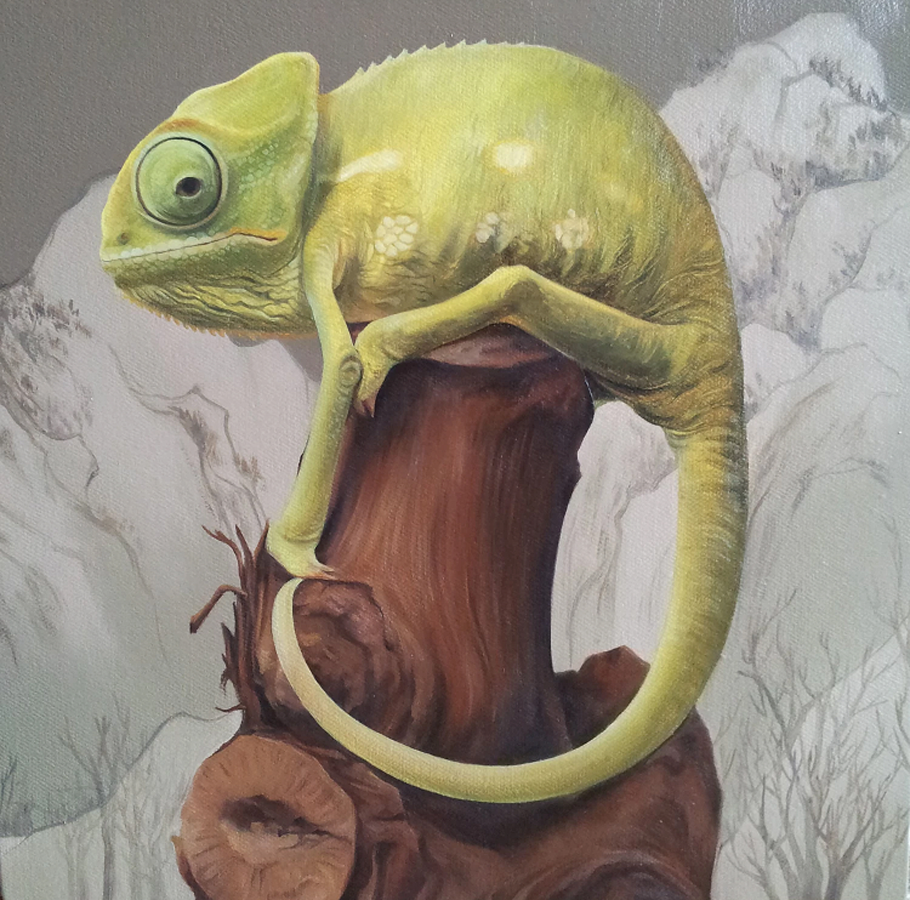 变色龙_布面油画_油画_宝甄网