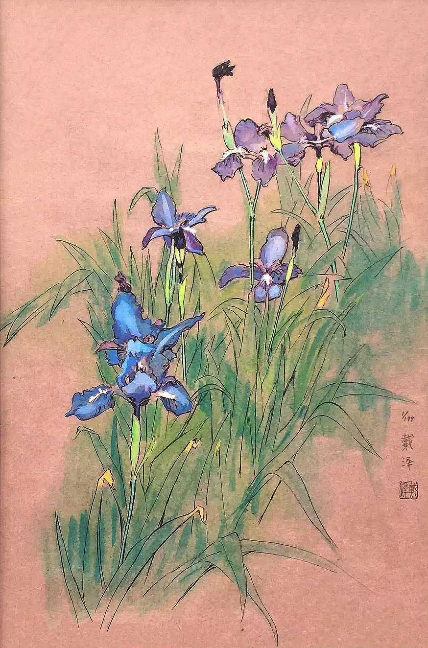 鸢尾花