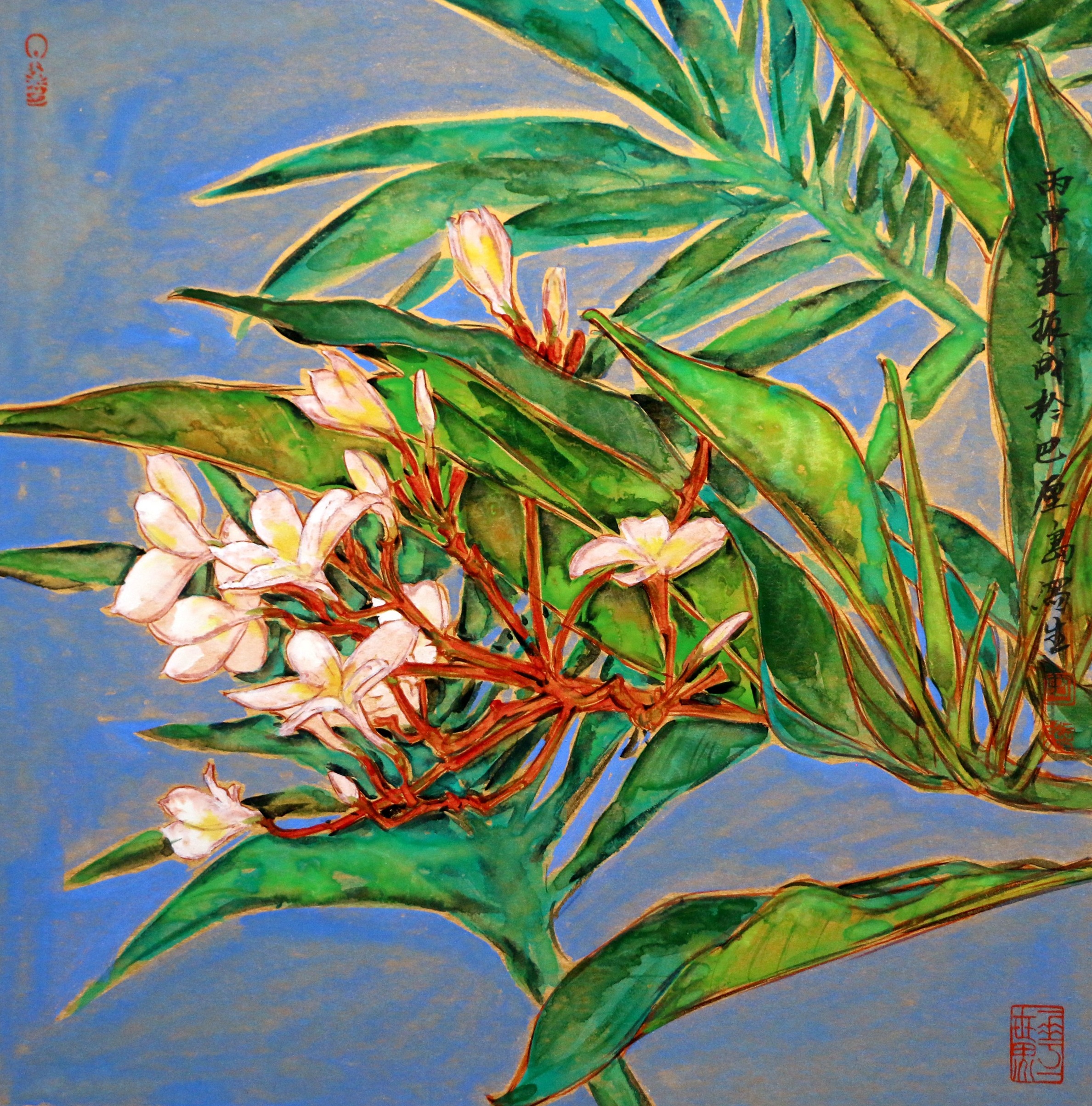 《鸡蛋花》_纸本水墨_国画_宝甄网