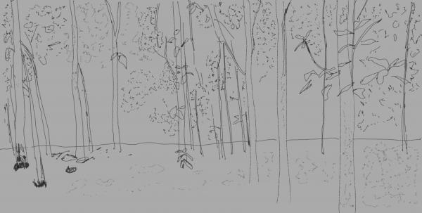 树林速写