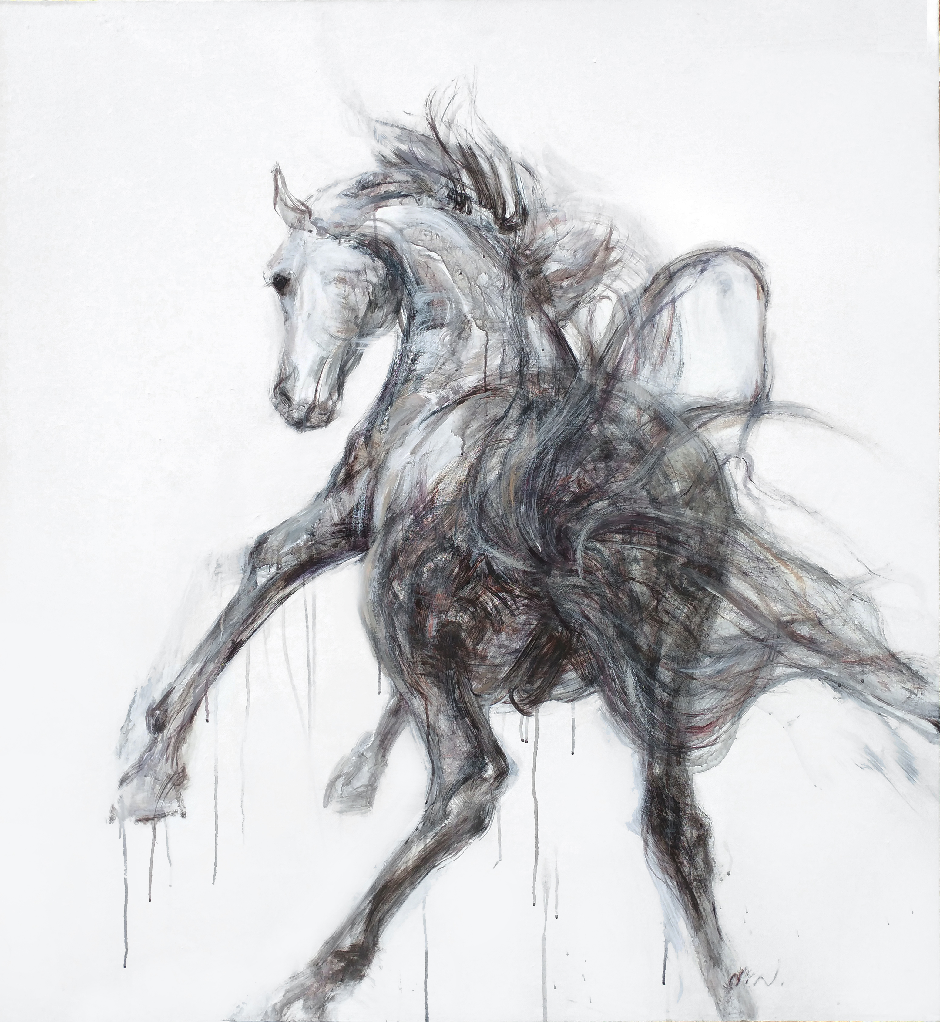 马_布面丙烯_油画_宝甄网